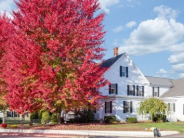 Badger Funeral Home of Groton