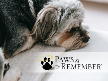 Staley-Strawser Funeral Home