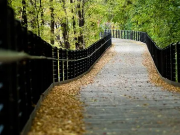 DiPonzio Funeral Home