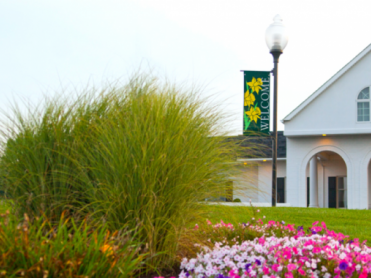 Omps Funeral Home and Cremation Center - Amherst Chapel