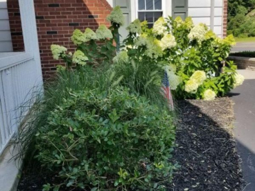 Robert S. Nester Funeral Home & Cremation Services, Inc. - New Ringgold