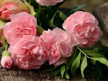 William S. Skovranko Memorial Home - Duquesne