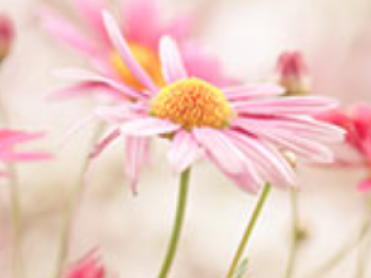 Burkhart Funeral Home - Crawfordsville