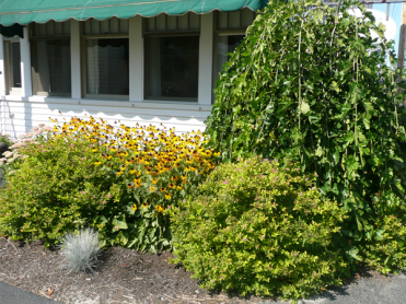 Roberts Funeral Home