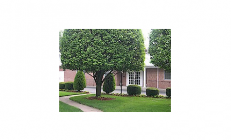 Molden Funeral Chapel