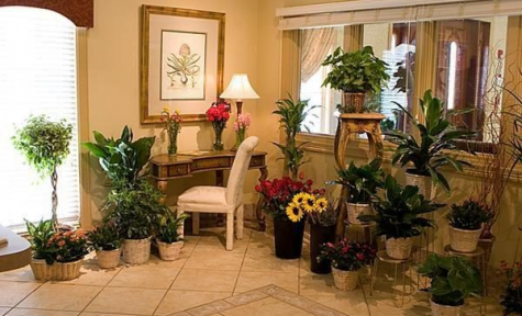 Cremation Services in Aubrey