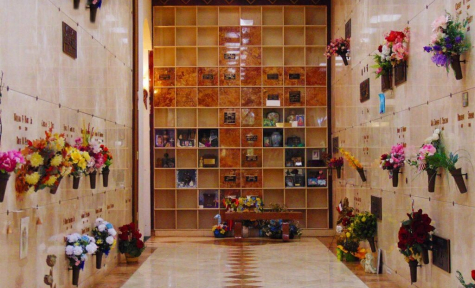 Niches - San Antonio, TX