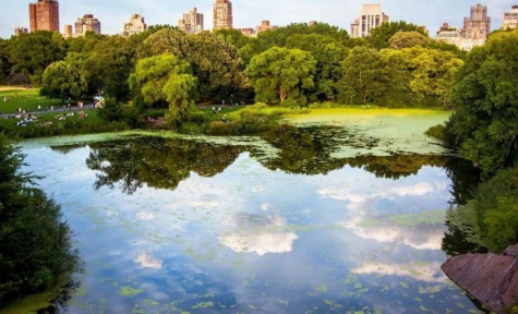 Ash Scattering Offered by Smith & Thomas Funeral Home in Chicago