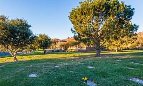 Mount Sinai Memorial Parks and Mortuaries