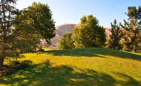 Mount Sinai Memorial Parks and Mortuaries