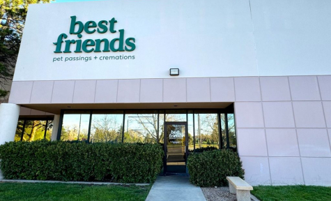 Best Friends Pet Passings + Cremations