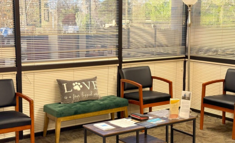 Best Friends Pet Passings + Cremations