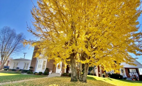 Richardson Funeral Home