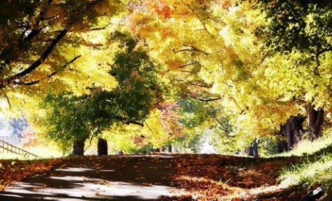 Preble Memory Gardens Funeral Center