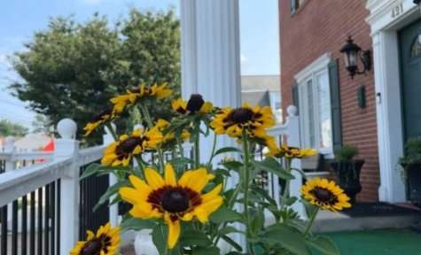 Kirkley-Ruddick Funeral Home, P.A. - Glen Burnie