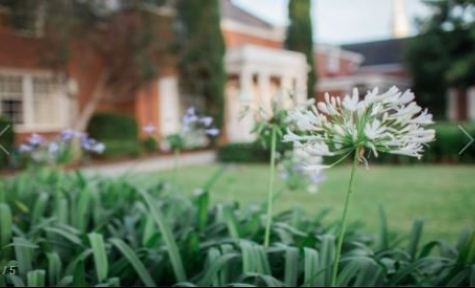 Carson McLane Funeral Home - Valdosta