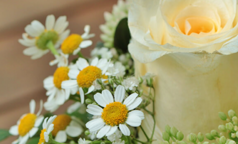 Peterson-Wallin-Knox Funeral Home - Woodhull