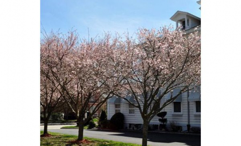 Manning-Heffern-O'Neill Funeral Home - Pawtucket