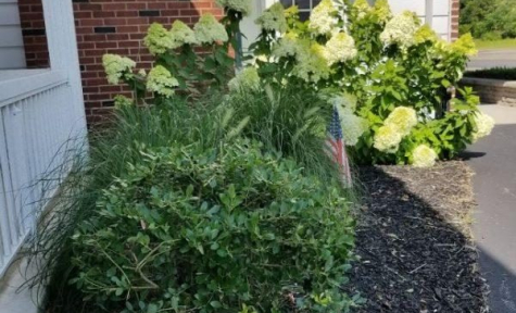 Cremation with Memorial Service - New Ringgold, PA