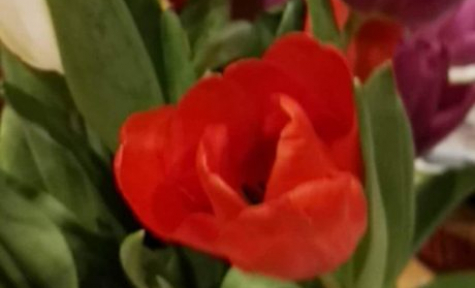 Naughton's Funeral Directors