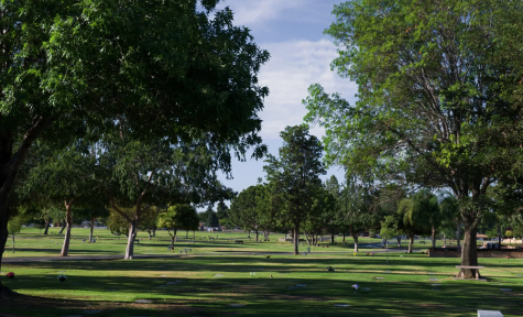 Greenlawn Funeral Home Northeast