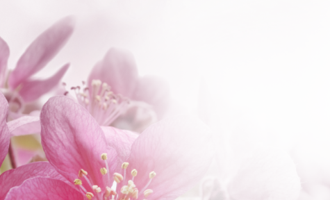 Speaks Buckner Chapel