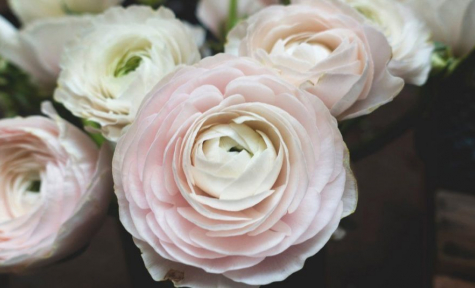 Speaks Buckner Chapel