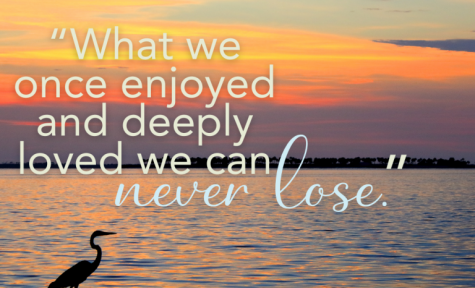 Lotus Funeral Service