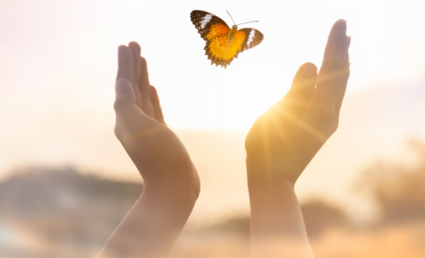 Lotus Funeral Service