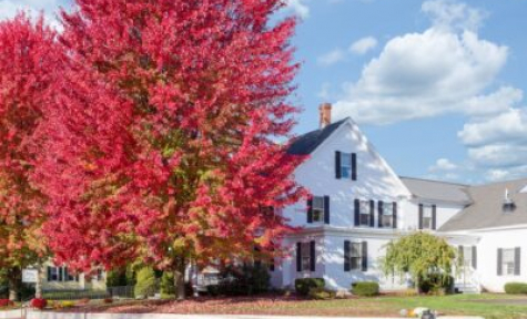 Thompson Funeral & Cremation Services Inc