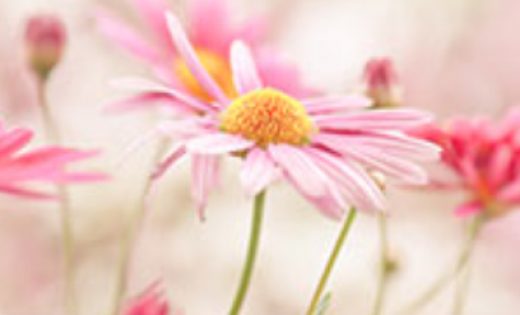 Burkhart Funeral Home - Crawfordsville