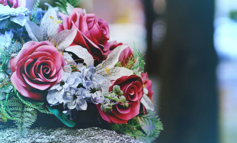 Full HD Daily posts on cuddie funeral home OnlyFans - Killing Thyme POP - Image 4