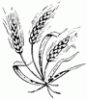 Nat-Gawlas-Jordan Funeral Home - West