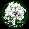 Avenidas Cremation & Burial