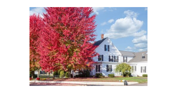 Thompson Funeral & Cremation Services Inc Obituaries & Services In